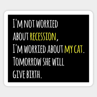 I'm not worried about recession, I'm worried about my cat. Tomorrow she will give birth. Magnet